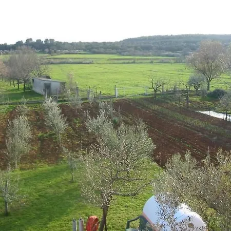 In Pula- Kroatien Mit Hohen Gaestebewertungen By Interhome Apartman *