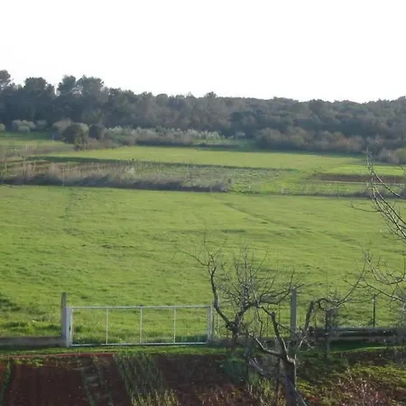 Appartamento In Pula- Kroatien Mit Hohen Gaestebewertungen By Interhome *