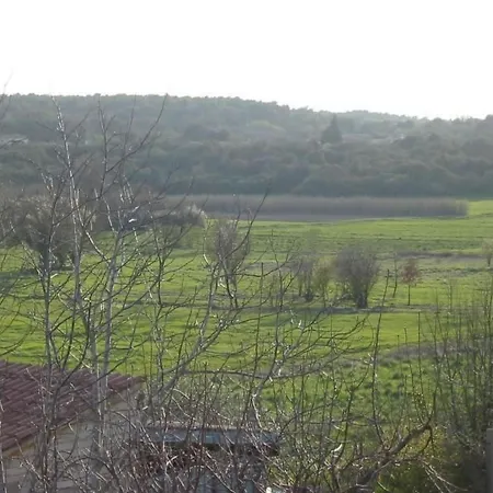 Appartement In Pula- Kroatien Mit Hohen Gaestebewertungen By Interhome Pula