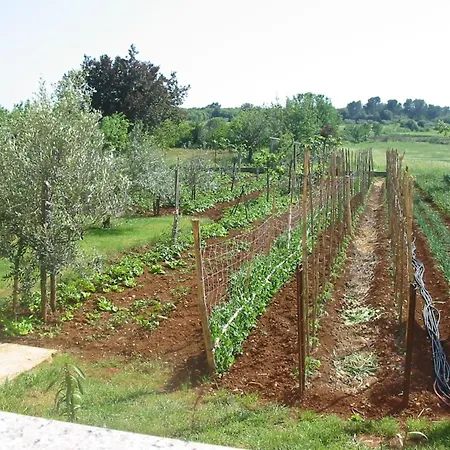 Appartamento In Pula- Kroatien Mit Hohen Gaestebewertungen By Interhome Pola