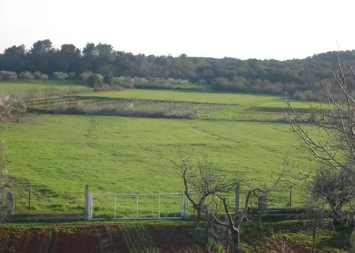 Apartman In Pula- Kroatien Mit Hohen Gaestebewertungen By Interhome *