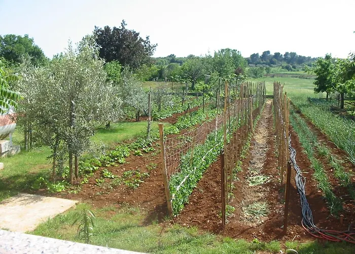 Appartement In Pula- Kroatien Mit Hohen Gaestebewertungen By Interhome Pula